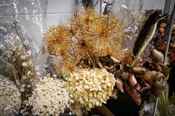 Dried flowers in buckets. 